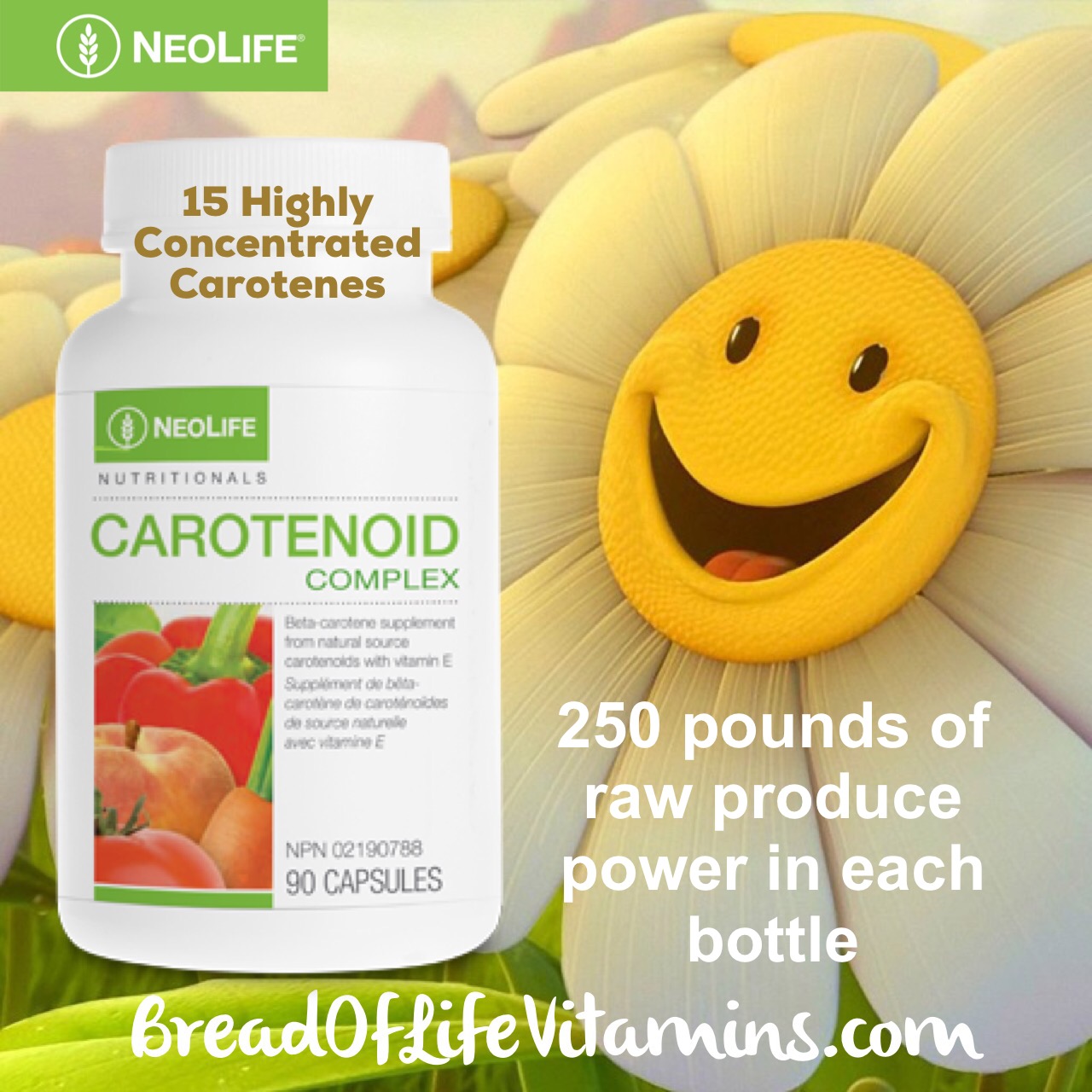 GNLD Carotenoid Complex : Feel Better 1 carotenoid complex
