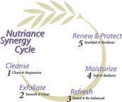 nutriance synergy logo