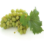 white grape